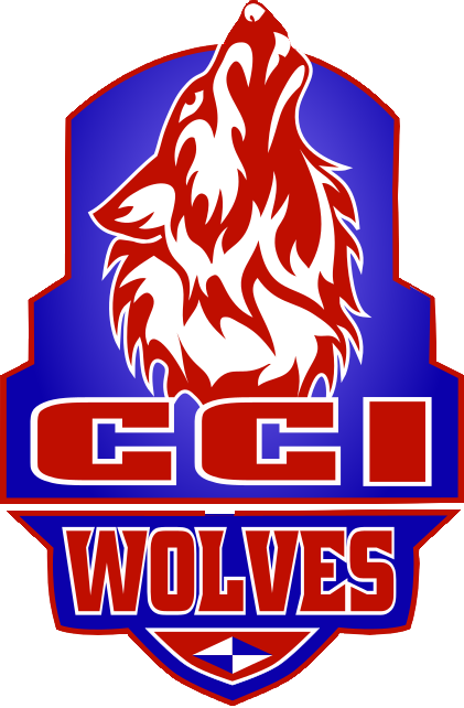 CCITV